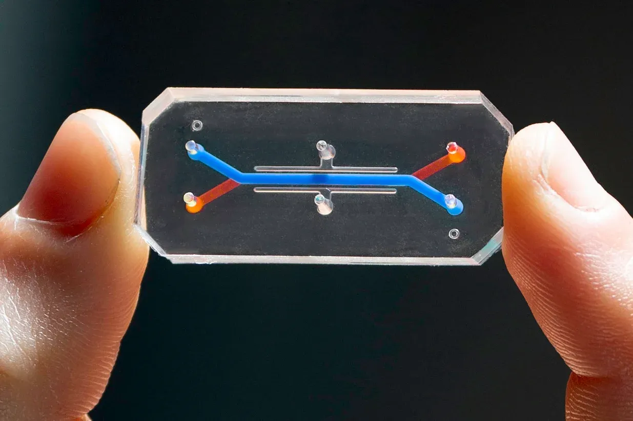Ilmuwan Kembangkan Chip dari Sel Vagina Pertama di Dunia, Buat Apa?