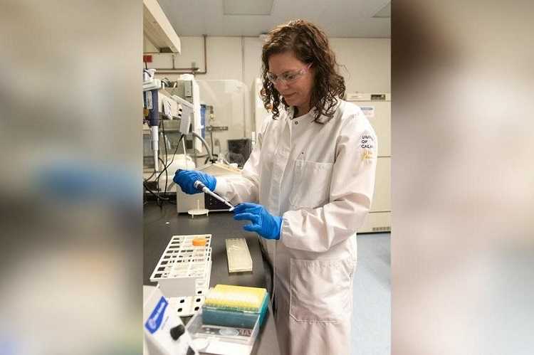 Ilmuwan Pecahkan Teka-teki Genetik Kromosom Y yang Dapat Bantu Penelitian Infertilitas