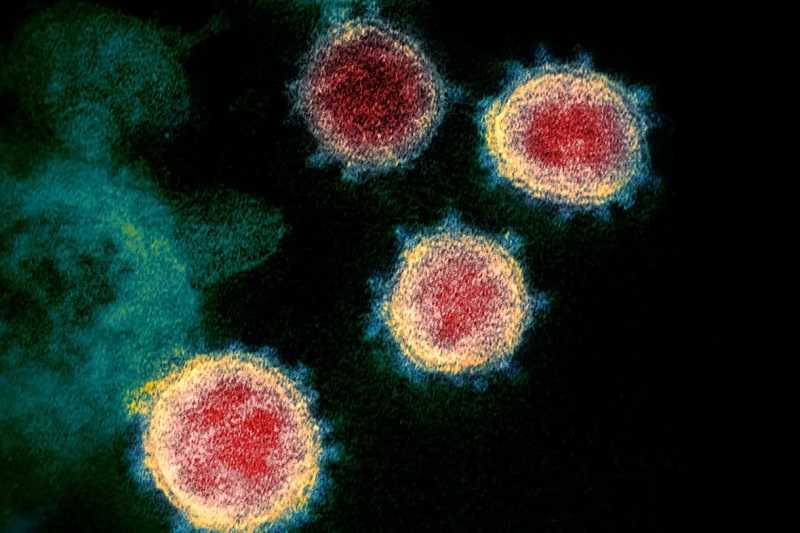 Ilmuwan Temukan Varian Virus Korona Baru yang Lebih Menular