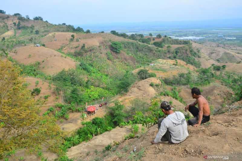 Indonesia dan 100 Pemimpin Dunia Janji 2030 Sudah Hentikan Deforestasi