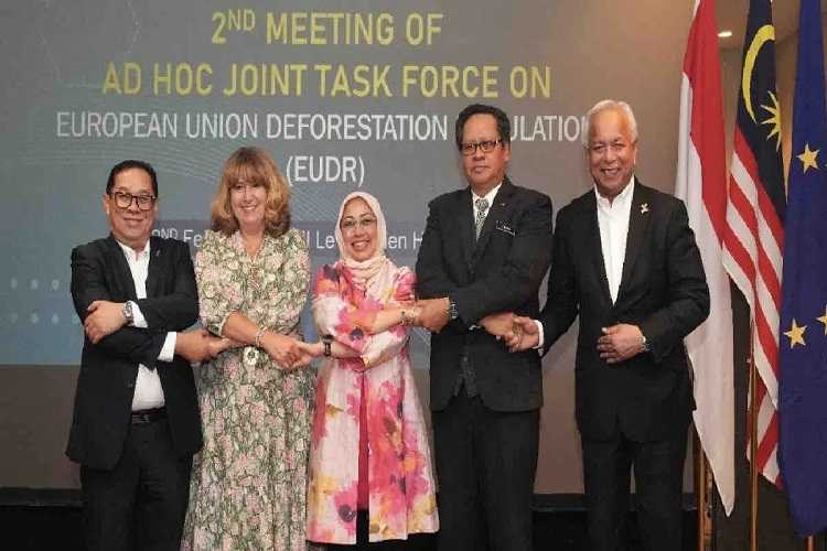 Indonesia Harap Penundaan Implementasi EUDR untuk Petani Kecil