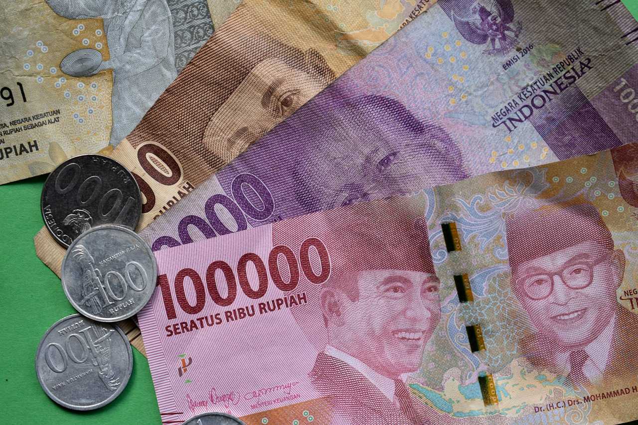 Indonesia Perlu Dorong Diversifikasi Mata Uang