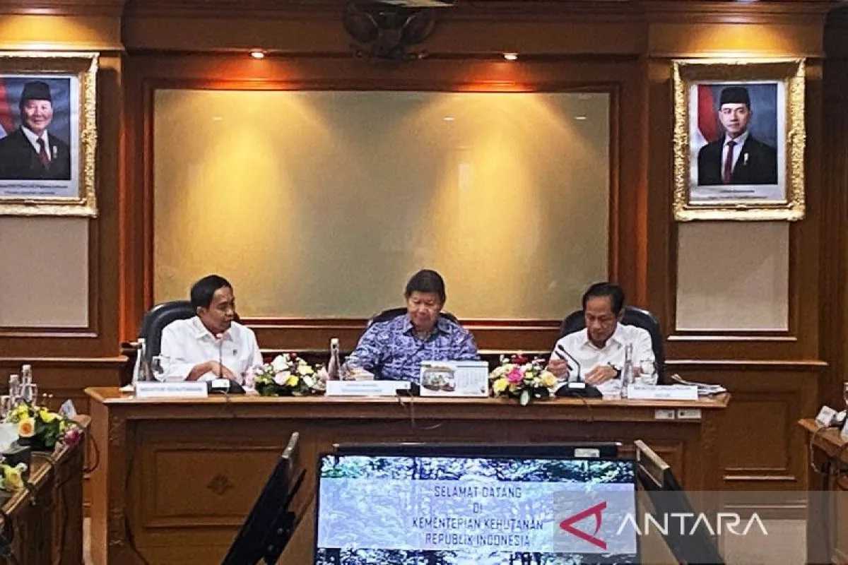 Indonesia Siap Jajaki Kerja Sama Perdagangan Karbon di COP29