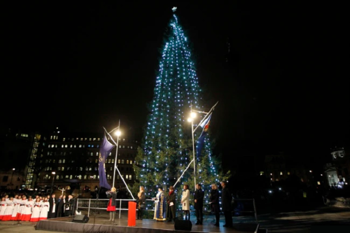 Inggris Mulai Tawarkan Pohon Natal Alternatif yang Ramah Lingkungan