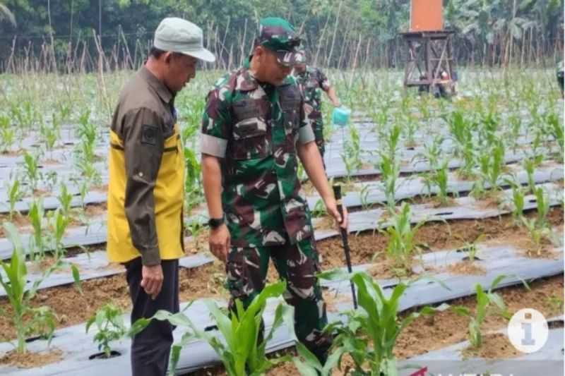 Ini Aksi Nyata untuk Wujudkan Ketahanan Pangan