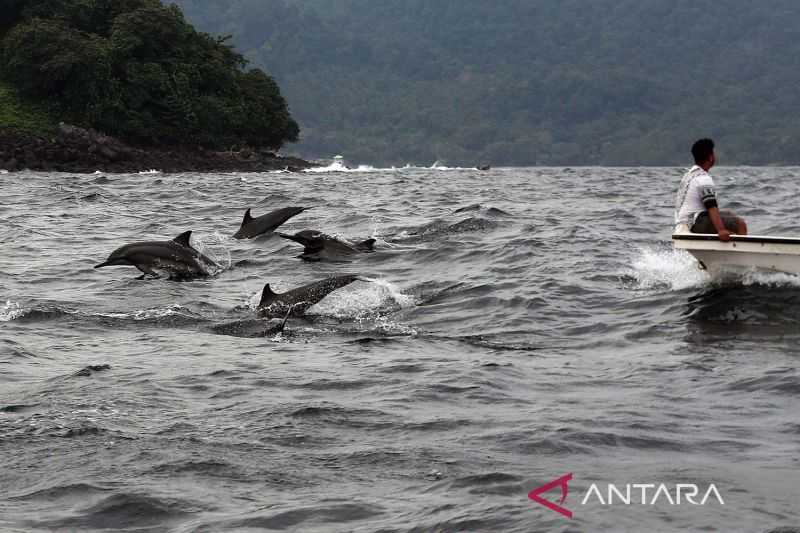 Ini yang Dilakukan Pemkot untuk Tarik Wisatawan ke Sabang