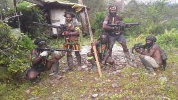 Inilah Kelompok KKSB Pelaku Penembakan 2 Guru di Papua