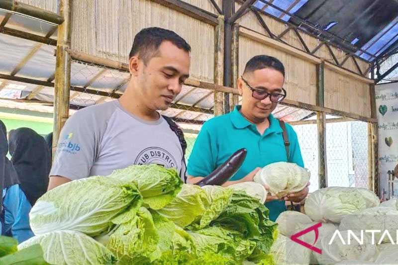 Inovasi Program Pojok Sayuran Bantu Sejahterakan Petani Sukabumi