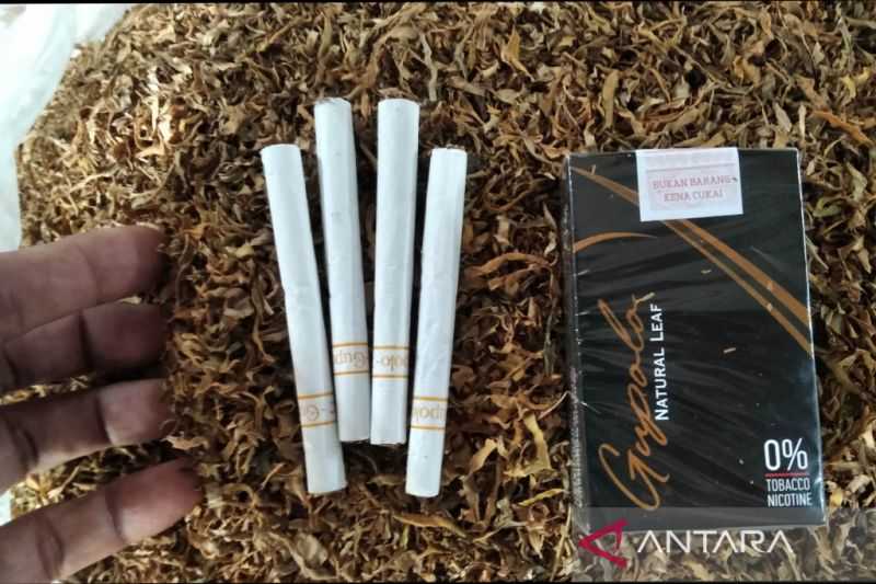 Inovatif, Warga Kudus Ciptakan Rokok dari Daun Talas untuk Hindari Nikotin