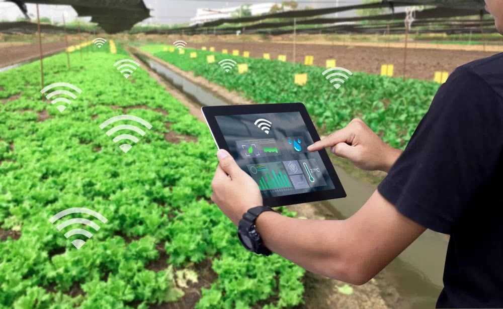 IoT Mengubah Masa Depan Pertanian