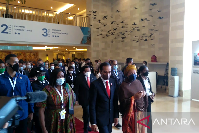 Jadi Tuan Rumah, Presiden Jokowi Hadiri Pembukaan GPDRR 2022 di Bali