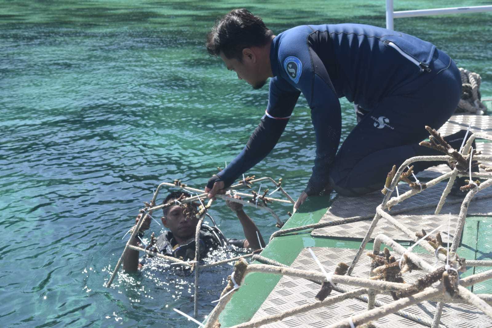 Jaga Ekosistem Laut, PIS Transplantasi Terumbu Karang di Pesisir Pantai Sulaa