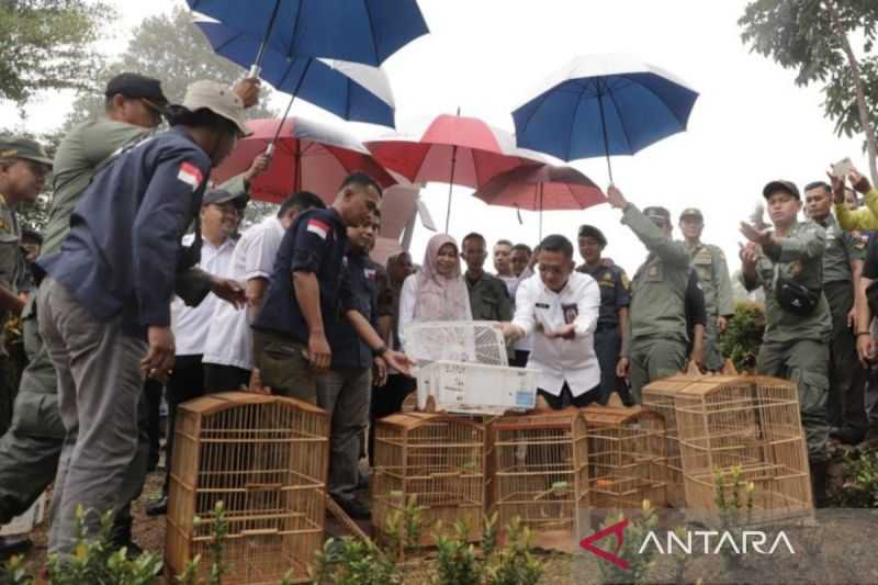 Jaga Kelestarian Alam, Ribuan Burung Dilepaskan di Tahura Sultan Adam Kalsel