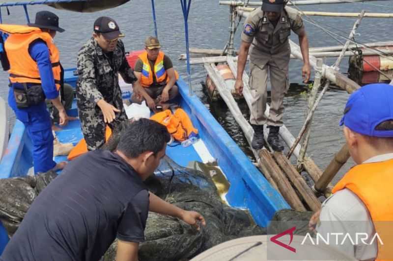 Jaga Populasi Ikan, DKP Sumbar: Razia Bagan Danau Singkarak Dilakukan Secara Kontinu