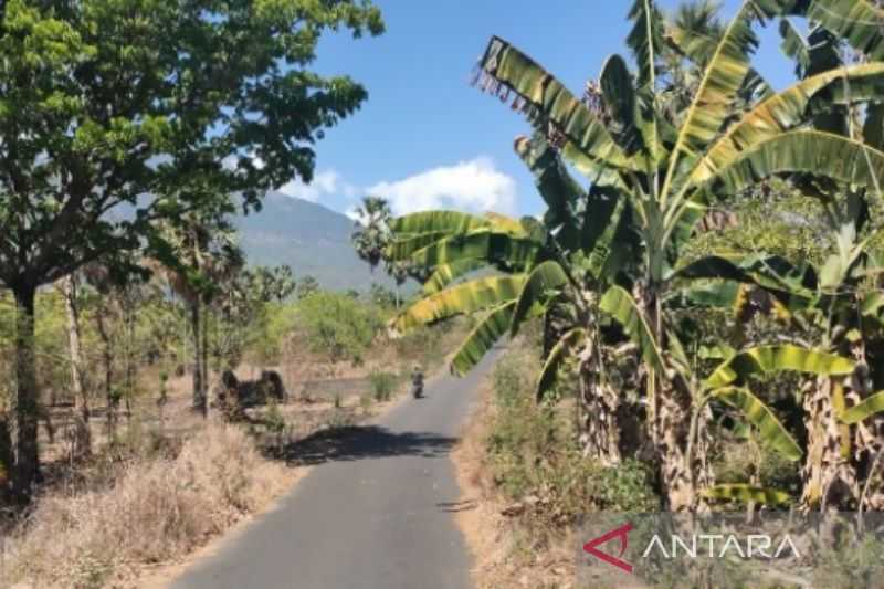 Jangan Sampai Menderita Kekeringan, BMKG Imbau Warga NTT Lakukan Hal Ini Memasuki Musim Kemarau