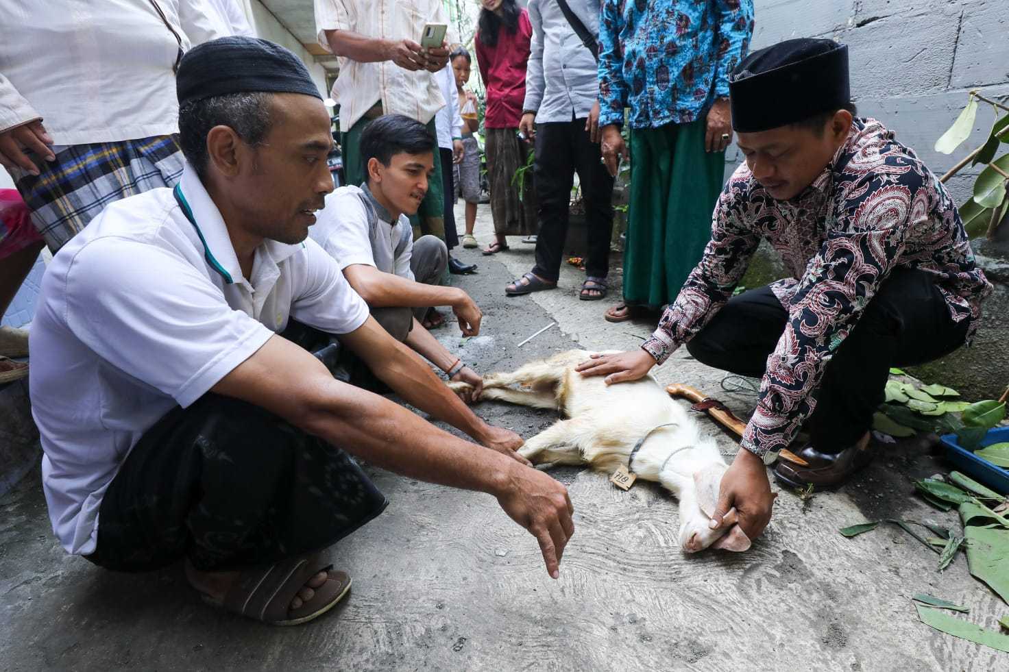 Jelang Idul Adha, Santri Ganjar Gelar Pelatihan Penyembelihan Hewan di Jaksel 2