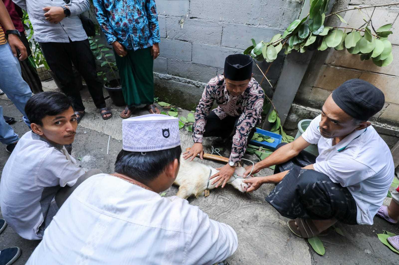 Jelang Idul Adha, Santri Ganjar Gelar Pelatihan Penyembelihan Hewan di Jaksel 4