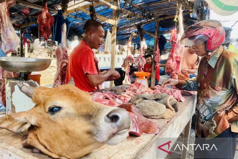 Jelang Ramadhan, Harga Daging Sapi Naik di Aceh Barat