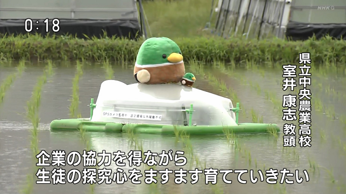 Jepang Berhasil Uji Coba Robot Penyiang Gulma di Persawahan yang Ramah Lingkungan