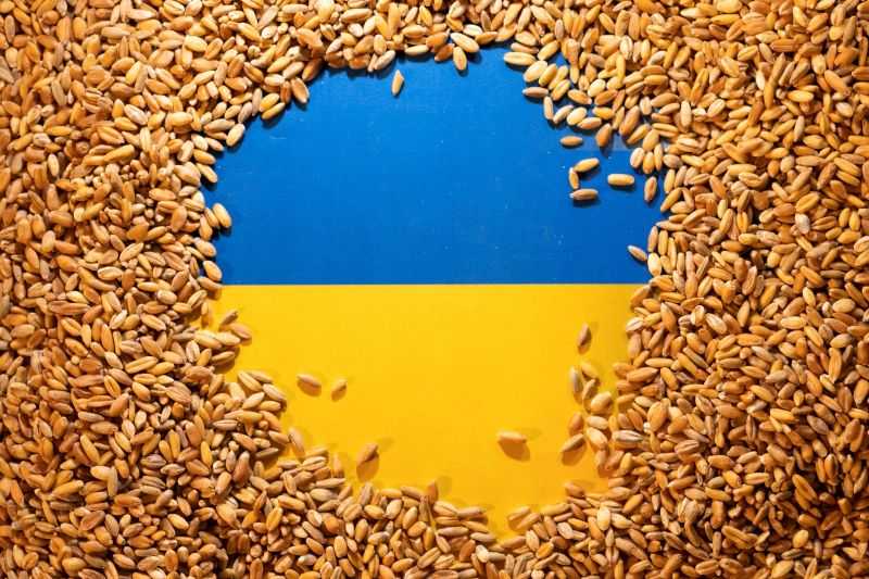 Jika Rusia Tak Ingkari Kesepakatan, Ukraina Bakal Ekspor 50 Juta Ton Biji-bijian untuk Kebutuhan Pangan Dunia