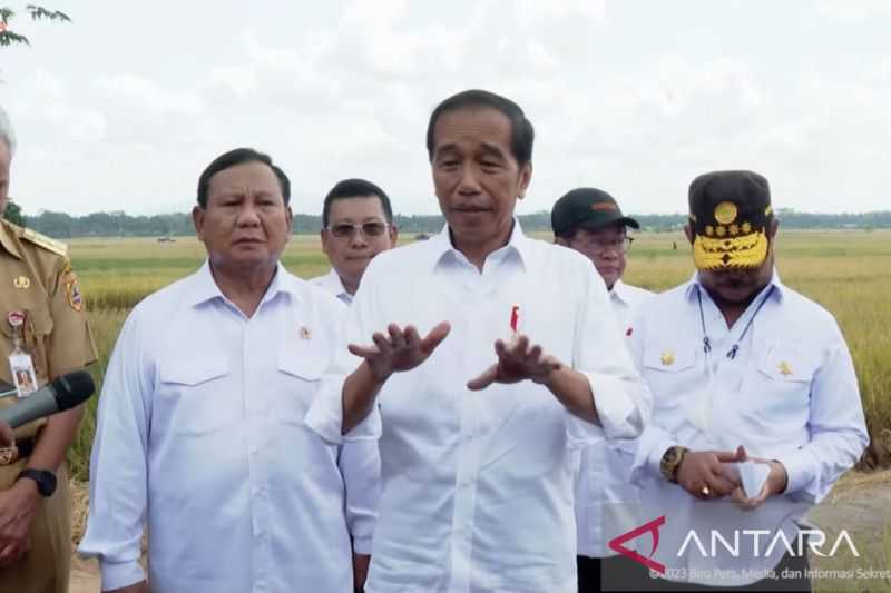 Jokowi: Bapanas Segera Umumkan HPP Gabah Terbaru