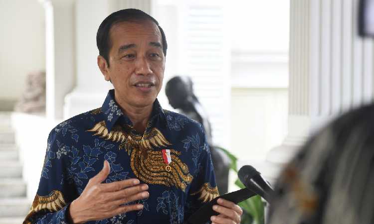 Jokowi Beberkan Alasan Bertemu Ketum Parpol Jelang 2024