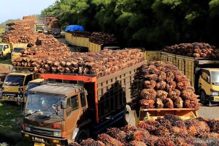 Jokowi Optimistis Indonesia Jadi Negara Penghasil Produk Hijau Kompetitif