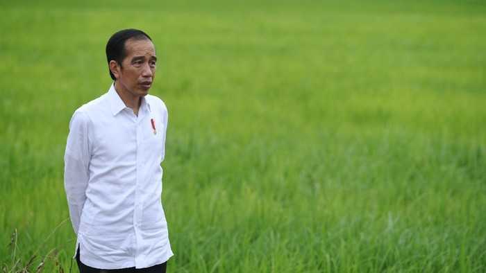 Jokowi Pertanyakan Putusan Ekspor Paksa Kekayaan Alam