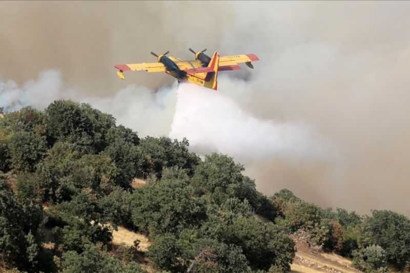 Jutaan Hektare Hutan Terbakar di Seluruh Dunia Mengakibatkan Ribuan Orang Mengungsi