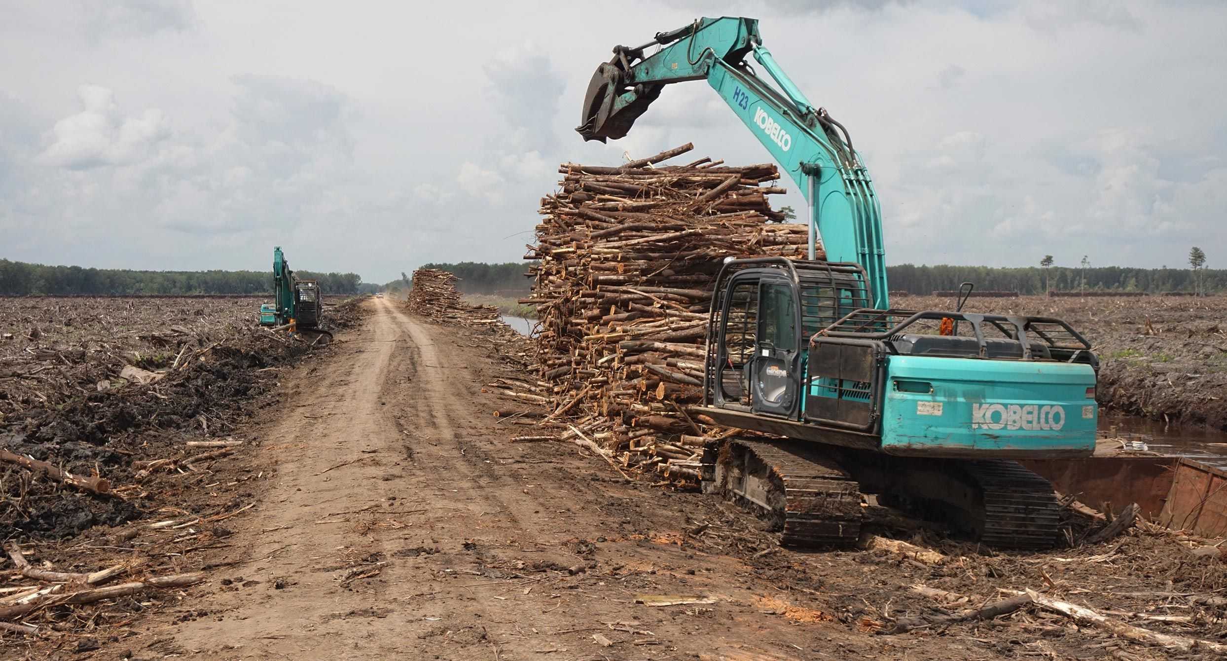 Kabar Baik dari COP26, Para Pemimpin Dunia Berjanji untuk Mengakhiri Deforestasi pada Tahun 2030