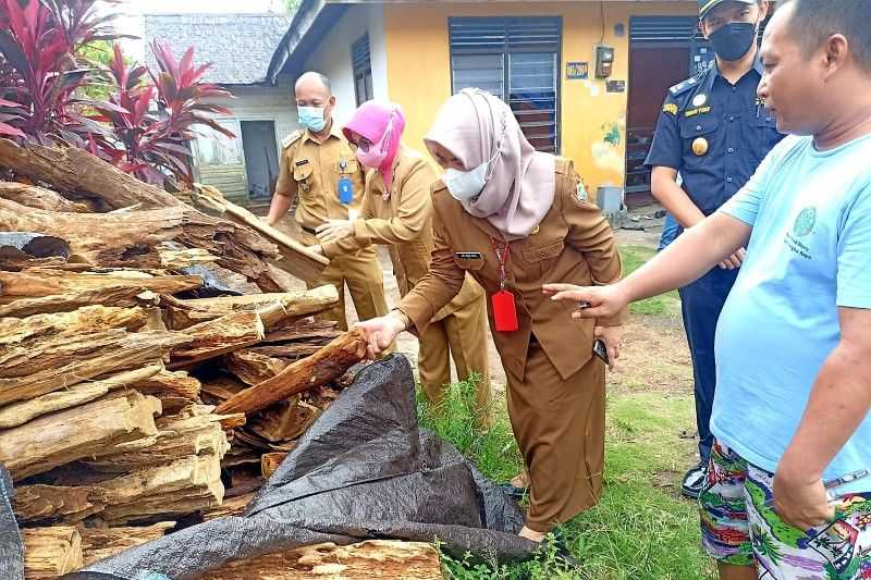 Kabar Baik, Pemprov Kalteng Janji Bantu Pemasaran Eksportir Kayu Gaharu