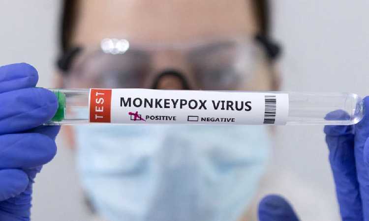 Kabar Baik, WHO Sebut Virus Cacar Monyet Dapat Dikendalikan Meski Ratusan Kasus Ditemukan Hingga Mewabah di Beberapa Negara