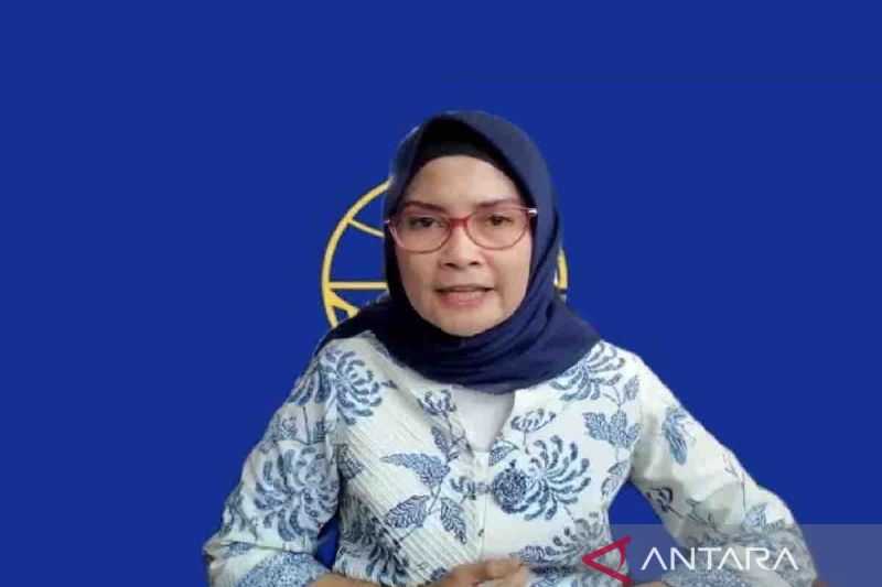 Kabar Gembira Semoga Tidak Ada Resesi, Jumlah Pesawat Mulai Pulih Usai Sempat Turun