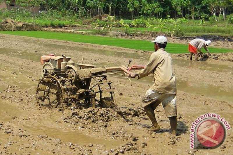 Kabar Gembira yang Sudah Lama Ditunggu, Bengkulu Siapkan Bantuan 1.118 Alat dan Mesin Pertanian bagi Petani