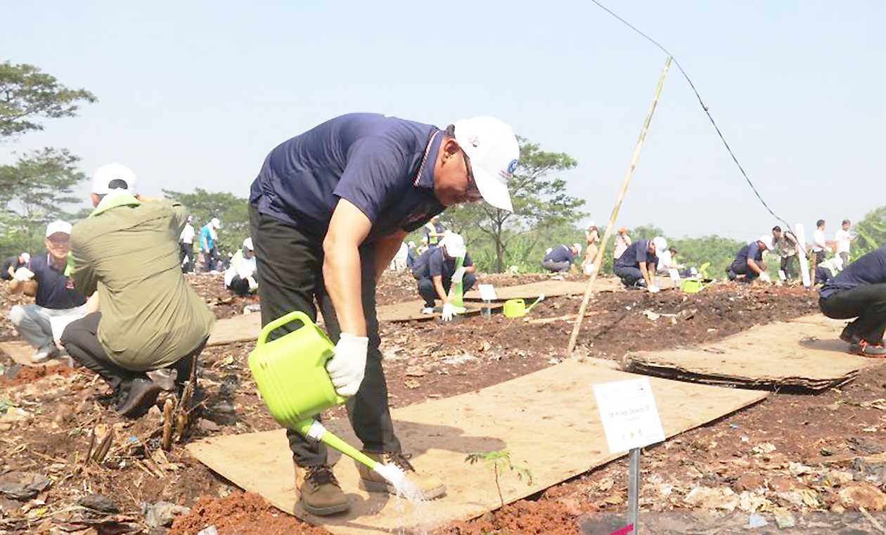 Kabupaten Bogor Target Per Tahun Satu Hutan Kota Terbangung