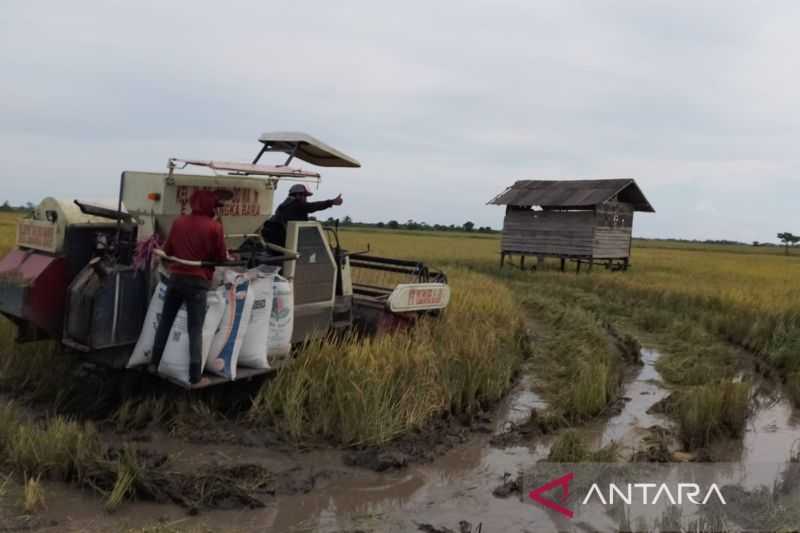 Kabupaten Penajam Fasilitasi Hasil Panen Petani Diserap Perusahaan