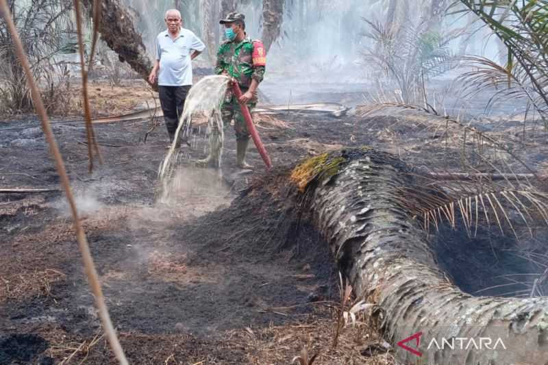 Kabut Asap Muncul Lagi di Bengkulu, Kebakaran Lahan Gambut Penyebabnya