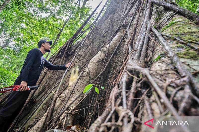 Kalsel Gaet Puluhan Pemuda Bentuk Meratus Geopark Youth Forum