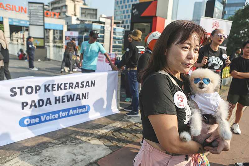 Kampanye Dog Meat Free