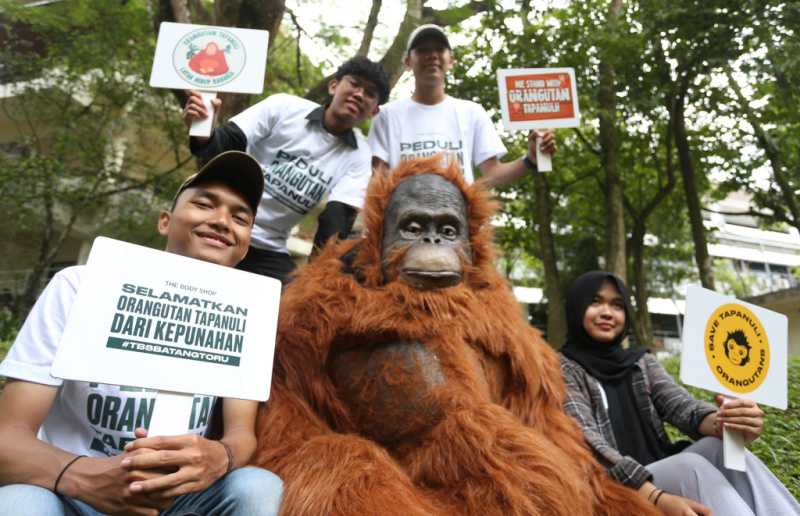 Kampanye Peduli Orangutan Tapanuli 3