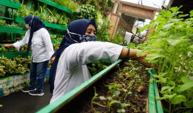 Kampung Berseri Astra Gerakan Ekonomi Masyarakat Dengan urban farming 2