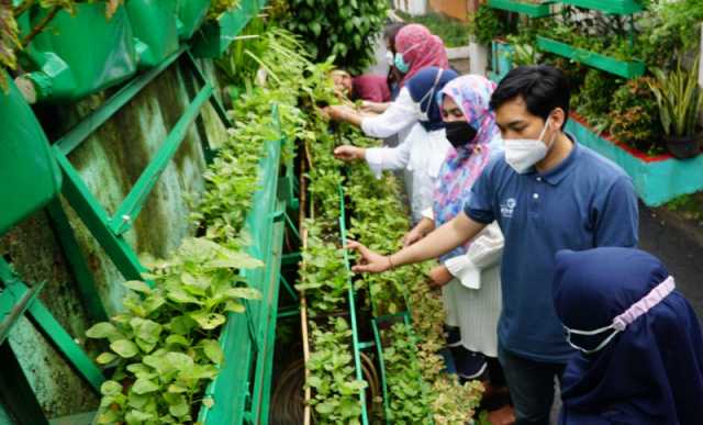 Kampung Berseri Astra Gerakan Ekonomi Masyarakat Dengan urban farming 3