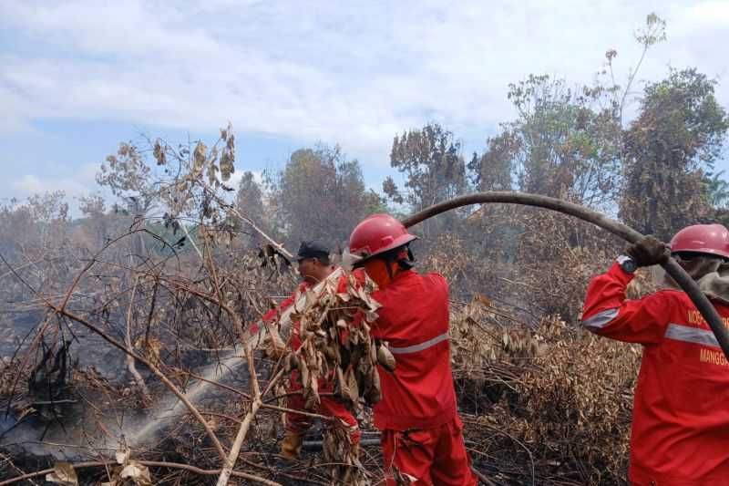 Karhulta di Sungai Rotan, Kabupaten Muara Enim Memasuki Hari ke-22