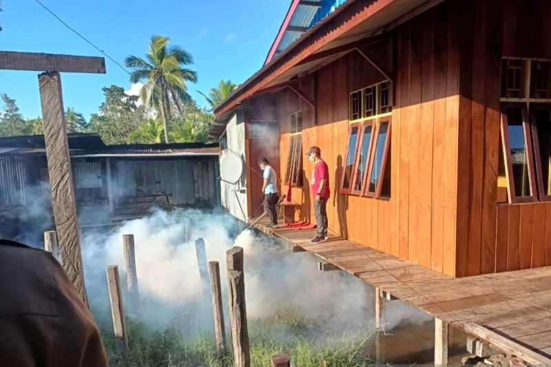 Kasus DBD Bertambah, Stok Fogging dan Abate di Daerah Papua Ini Menipis, Bantuan Belum Juga Tiba
