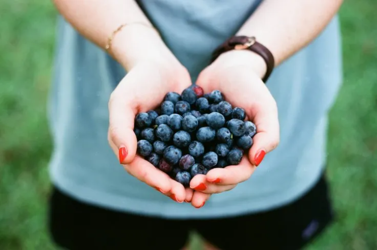 Kaya Nutrisi, Ini Segudang Manfaat Blueberry untuk Kesehatan