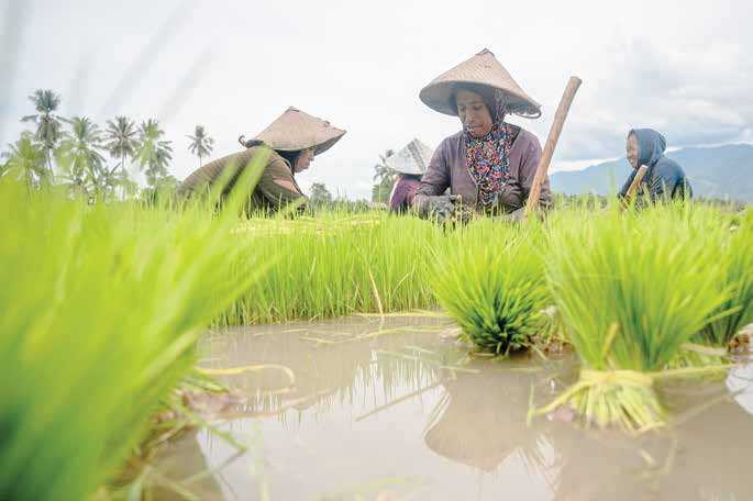 Keamanan Pangan Lama Diabaikan karena Terlena Impor