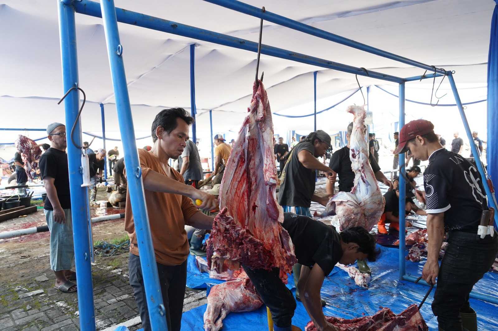 Kebahagiaan Idul Adha, PLN UID Jaya Bagikan 2.268 kg Daging Kurban