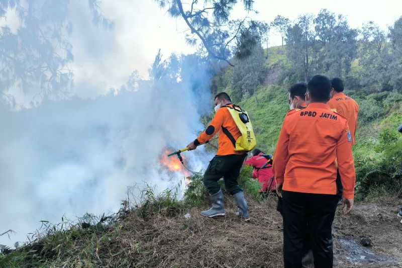 Kebakaran di Gunung Bromo, BPBD Jatim Berjibaku Padamkan Api