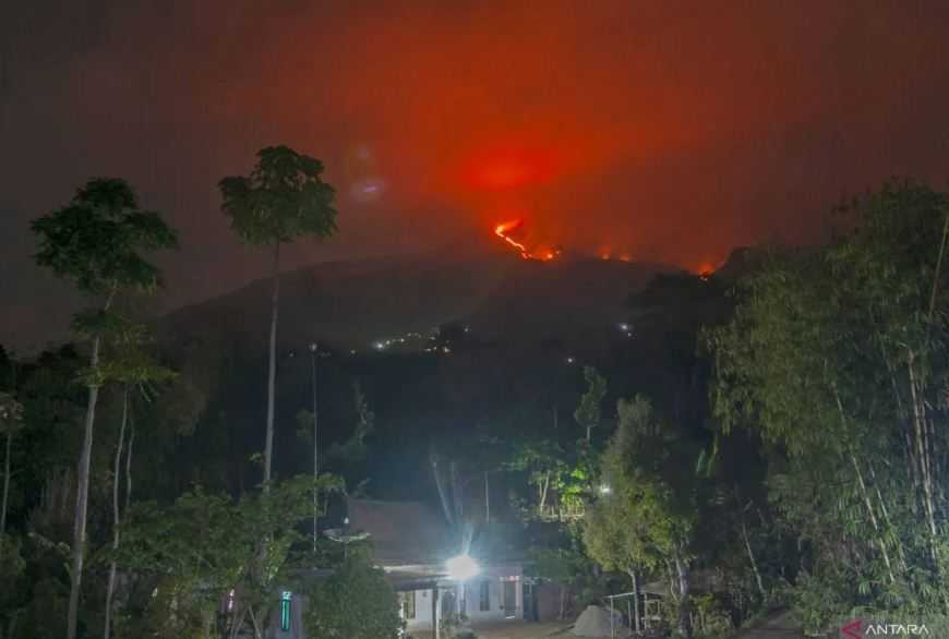 Kebakaran di Lereng Gunung Merbabu Meluas dan Mengarah ke Puncak