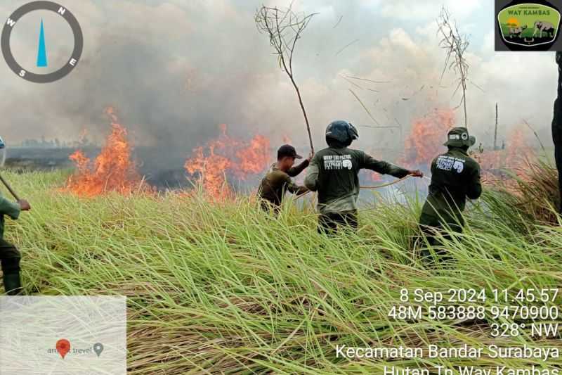 Kebakaran di Taman Nasional Way Kambas Berhasil Dipadamkan